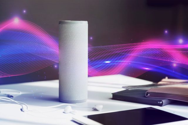 Voice Assistant Bots